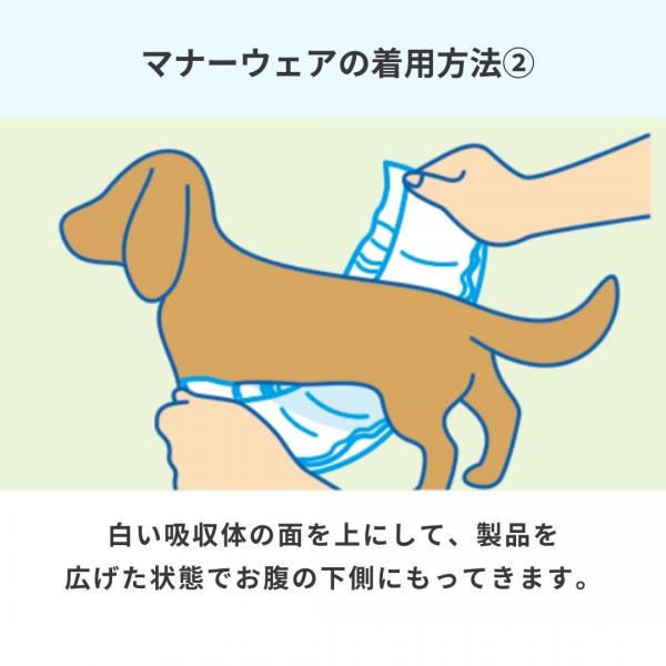 マナーウェア男の子用（SSSS,SSS,SS,S,M,L,LLサイズ）（ユニ・チャーム） 