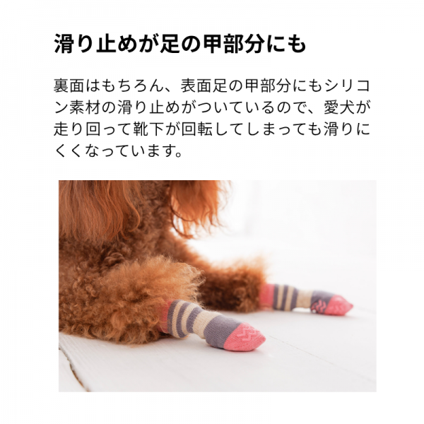 犬の靴下 スキッター 