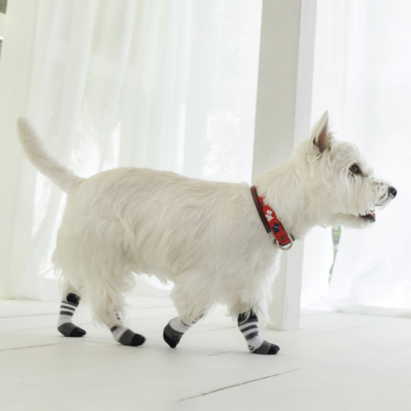 犬の靴下 スキッター オセロブラック／着用サイズ：前足S、後ろ足XS