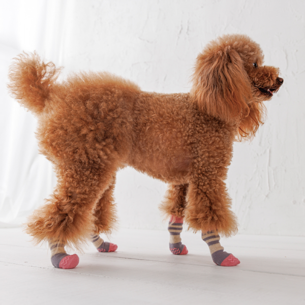 犬の靴下 スキッター ストーンピンク／着用サイズ：XS