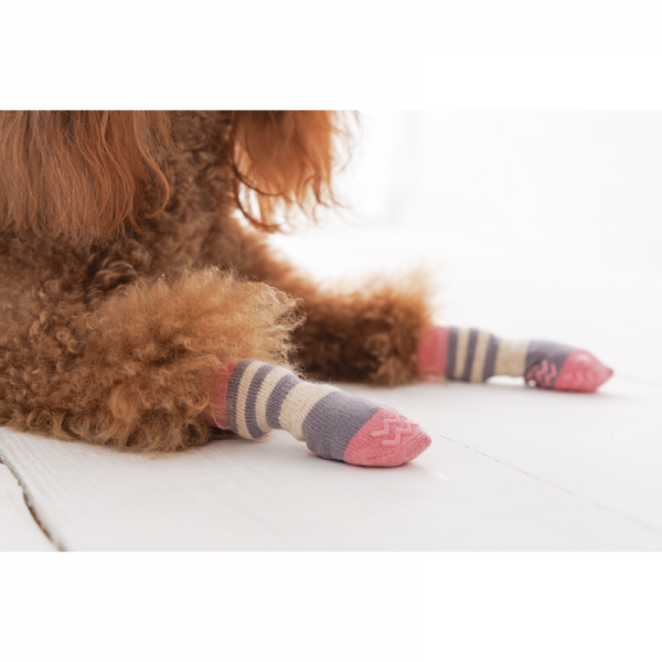 犬の靴下 スキッター ストーンピンク／着用サイズ：XS