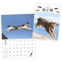 飛び猫カレンダー２０１９