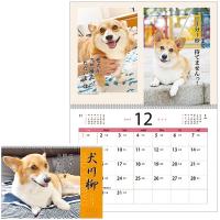 犬川柳カレンダー（月めくり）２０２０