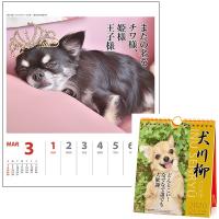 犬川柳カレンダー（週めくり）２０２０