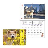 秋田犬カレンダー２０２０