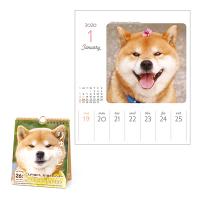 柴犬りゅうじ(週めくり）カレンダー２０２０