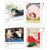 犬川柳カレンダー（週めくり）２０２１