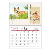 犬川柳カレンダー（月めくり）２０２１