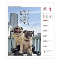 犬川柳カレンダー（週めくり）２０２２