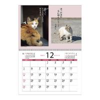 猫川柳カレンダー２０２２