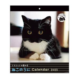 23年 可愛すぎる猫カレンダーを集めました