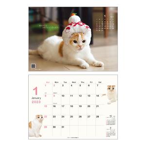 23年 可愛すぎる猫カレンダーを集めました