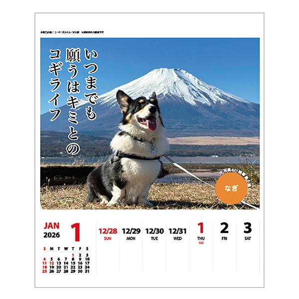 犬川柳カレンダー（週めくり）２０２６ コーギー