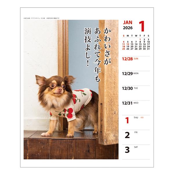 犬川柳カレンダー（週めくり）２０２６ チワワ