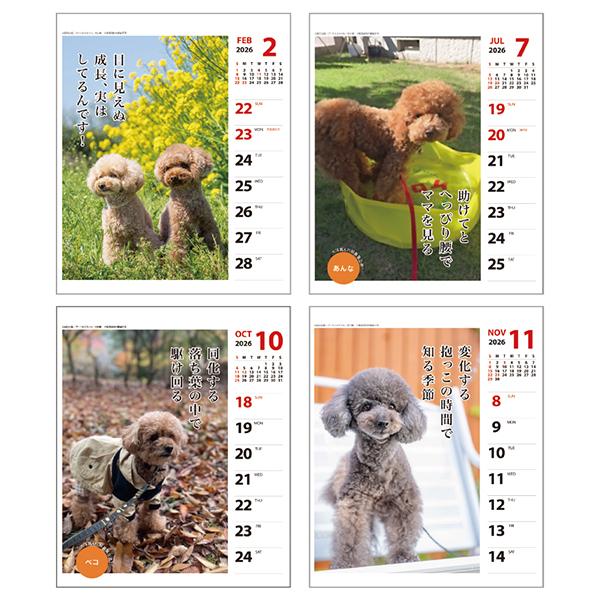 犬川柳カレンダー（週めくり）２０２６ プードル