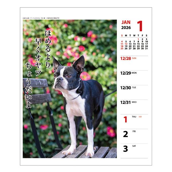 犬川柳カレンダー（週めくり）２０２６ ペチャ