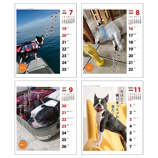 犬川柳カレンダー（週めくり）２０２６ ペチャ