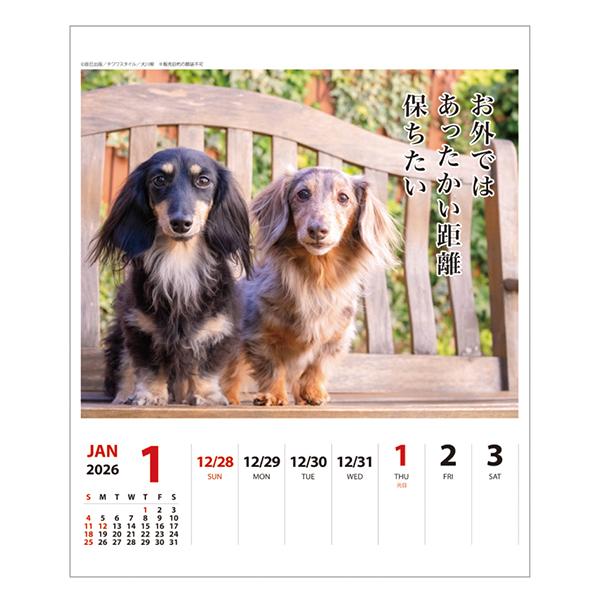 犬川柳カレンダー（週めくり）２０２６ ダックス