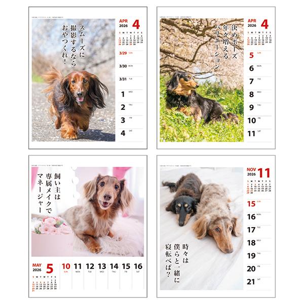 犬川柳カレンダー（週めくり）２０２６ ダックス