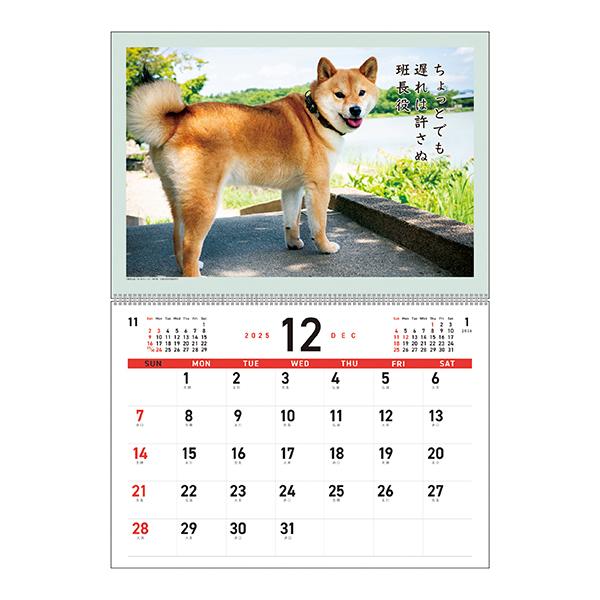 犬川柳カレンダー（月めくり）２０２６ 中面