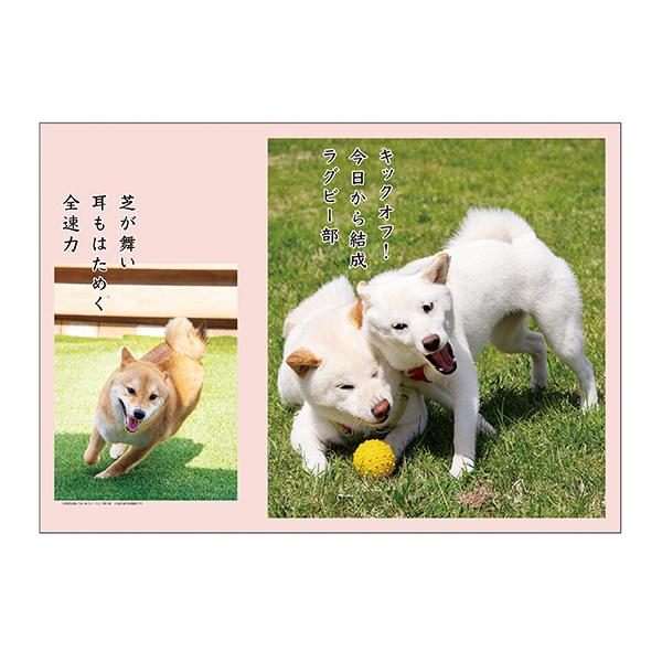 犬川柳カレンダー（月めくり）２０２６ 柴犬・中面
