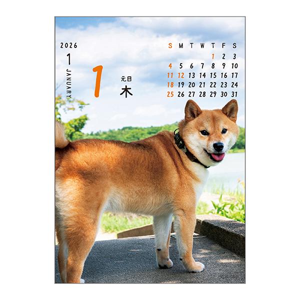 ワン！！めくり（日めくり）２０２６ 中面