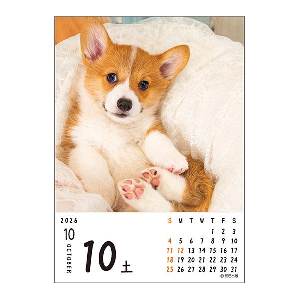 ワン！！めくり（日めくり）２０２６ 中面