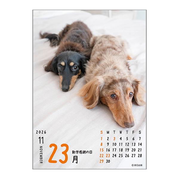 ワン！！めくり（日めくり）２０２６ 中面