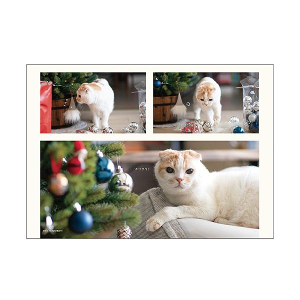 ポッケカレンダー２０２６ 壁掛け・中面