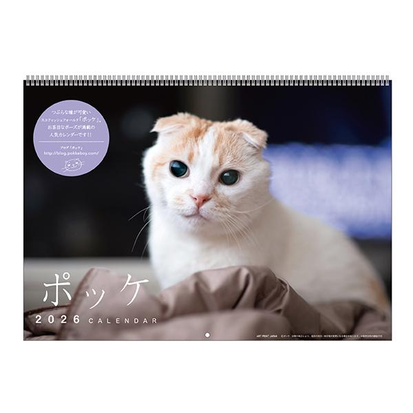 ポッケカレンダー２０２６ 壁掛け・表紙