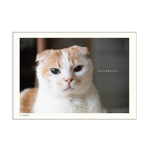 ポッケカレンダー２０２６ 壁掛け・中面