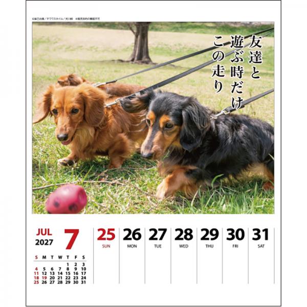 犬川柳カレンダー（週めくり）２０２７ ダックス／中面
