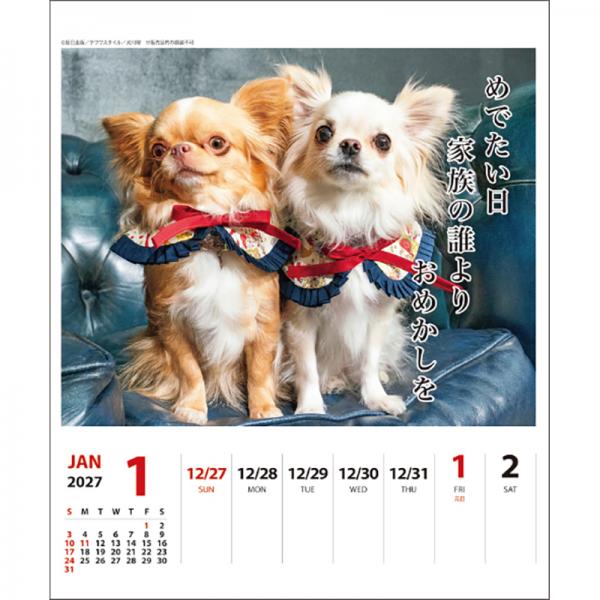 犬川柳カレンダー（週めくり）２０２７ チワワ／中面