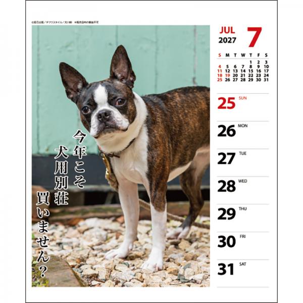 犬川柳カレンダー（週めくり）２０２７ ペチャ／中面