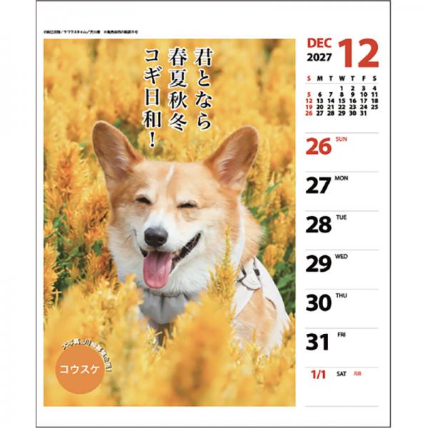 犬川柳カレンダー（週めくり）２０２７ コーギー／中面