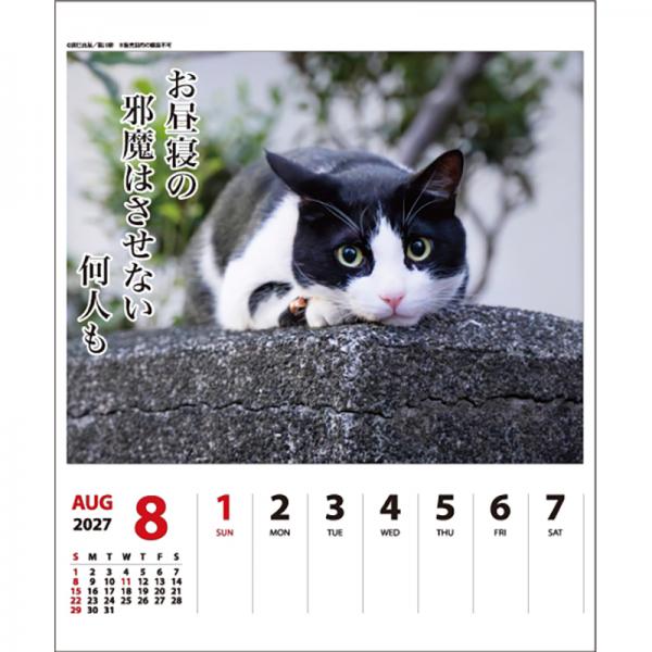 猫川柳カレンダー２０２７ 週めくり／中面