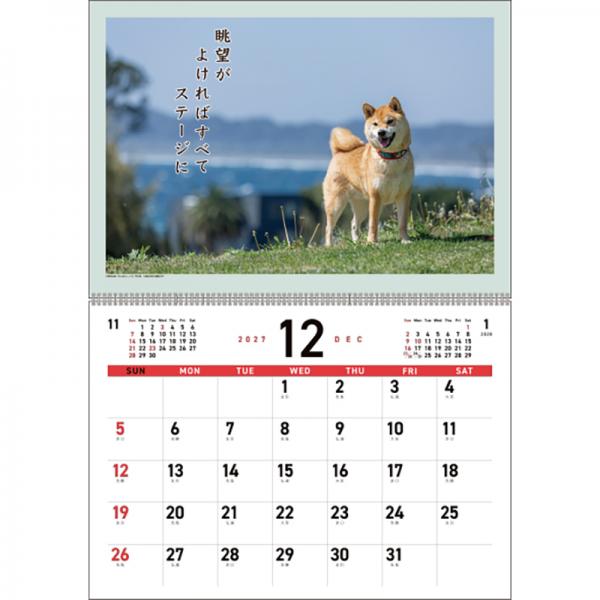 犬川柳カレンダー（月めくり）２０２７ 柴犬・中面