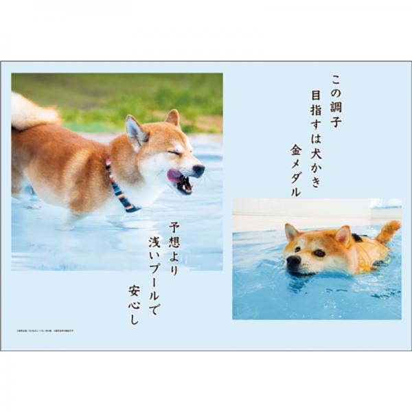 犬川柳カレンダー（月めくり）２０２７ 柴犬・中面