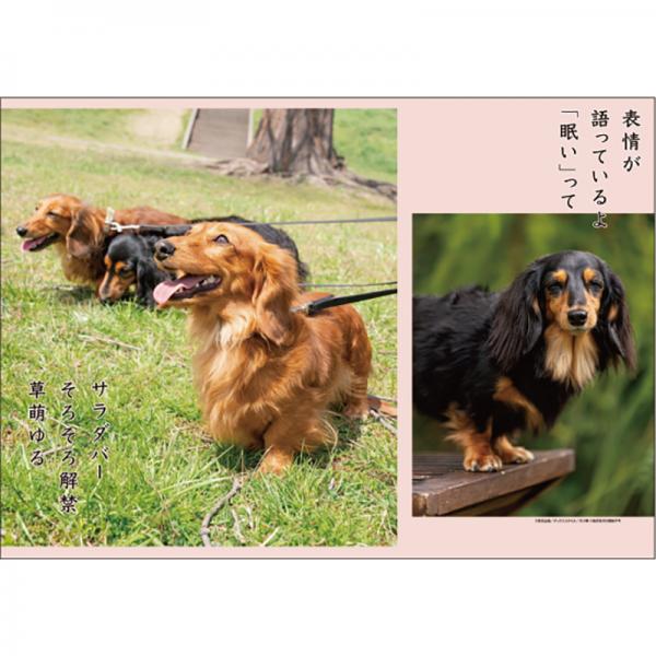 犬川柳カレンダー（月めくり）２０２７ ダックス・中面