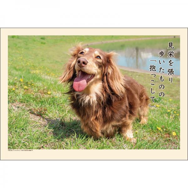 犬川柳カレンダー（月めくり）２０２７ ダックス・中面