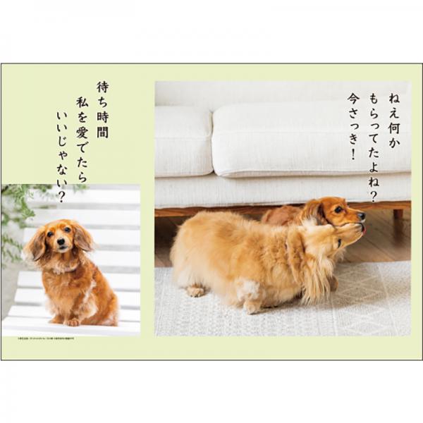 犬川柳カレンダー（月めくり）２０２７ ダックス・中面
