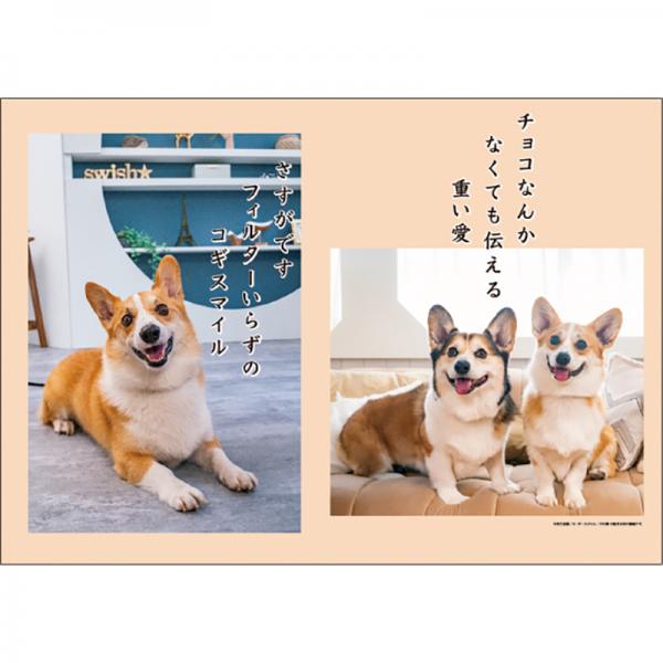 犬川柳カレンダー（月めくり）２０２７ コーギー・中面