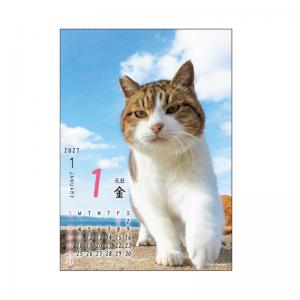 ニャン！！めくり（日めくり）2027｜ ペット用品の通販サイト
