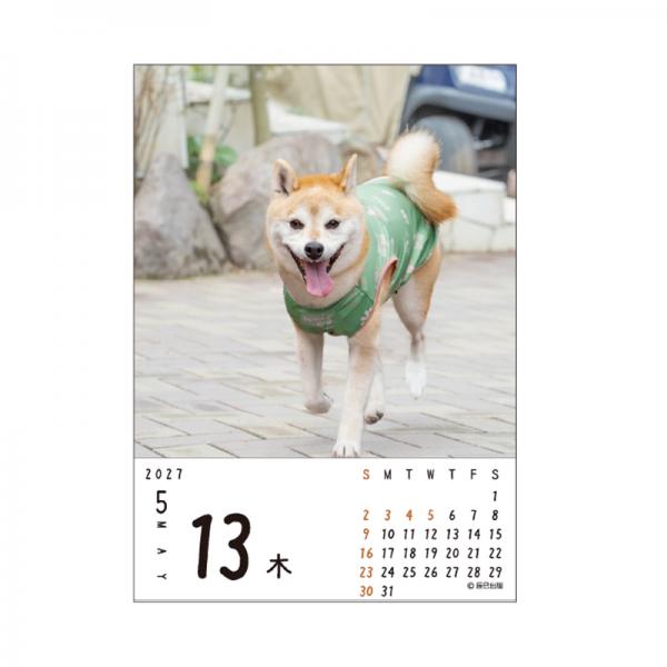 ワンめくり！！（日めくり）２０２７ 中面