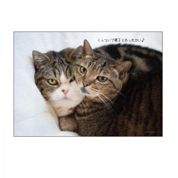まるちゃんカレンダー２０２７ 壁掛け・中面