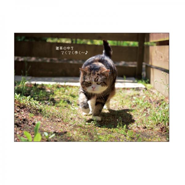 まるちゃんカレンダー２０２７ 壁掛け・中面