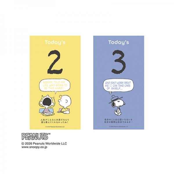 日めくり＆スケジュール　ＰＥＡＮＵＴ　２０２７ 日めくり部分