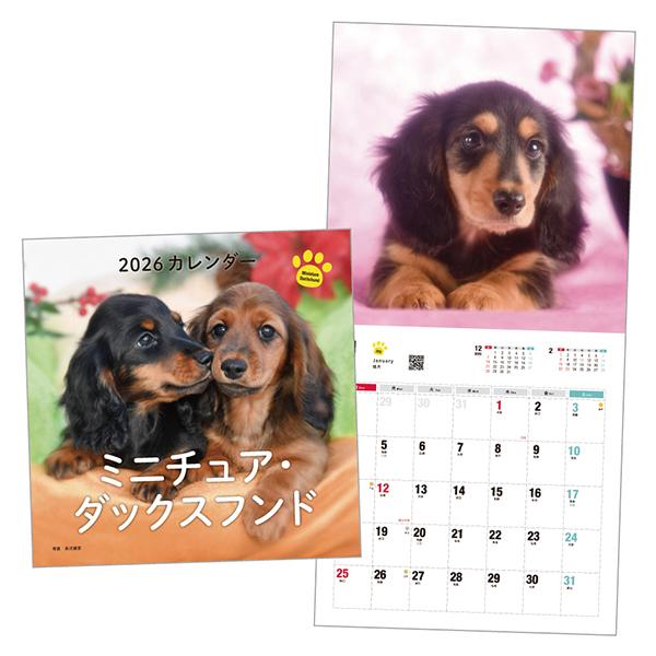 ＤＯＧカレンダー２０２６ Mダックス