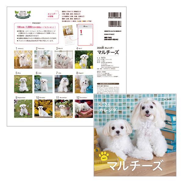 ＤＯＧカレンダー２０２６ マルチーズ