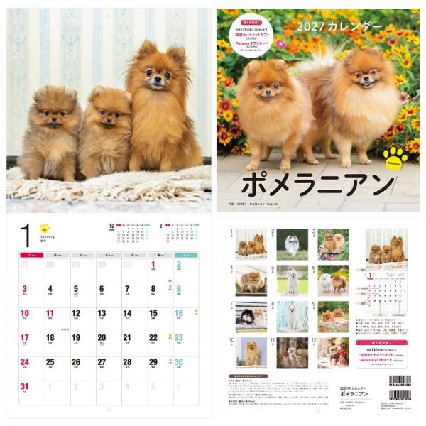 ＤＯＧカレンダー２０２７ ポメラニアン